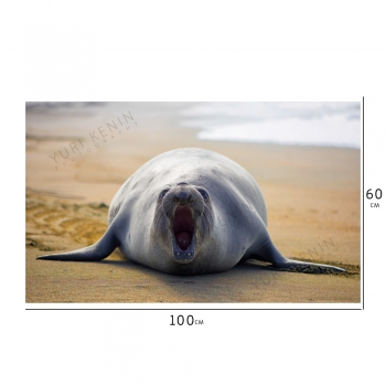 Seal-100X60